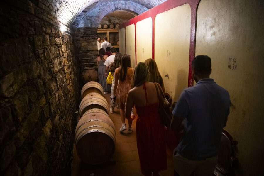From Florence: Siena & San Gimignano Guided Tour and Dinner - The Mercedes minibus vs coach: comfort and how it changes your day