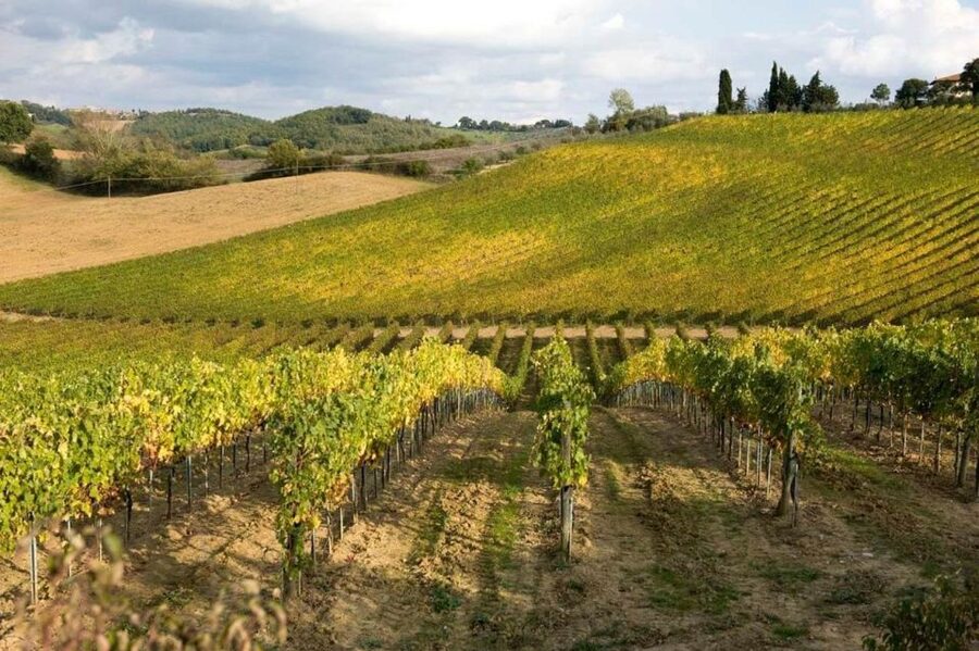 From Florence: Siena & San Gimignano Tour with Chianti Views - Who this tour fits (and who should choose another option)