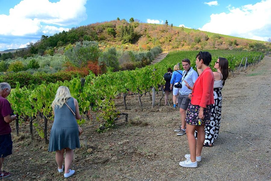 From Florence: Small-Group Chianti Wine Tour 2024 - Key points at a glance