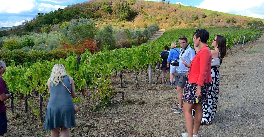 From Florence: Small-Group Chianti Wine Tour 2024 - Stop 1: cellars first, then tastings that teach you what you’re drinking