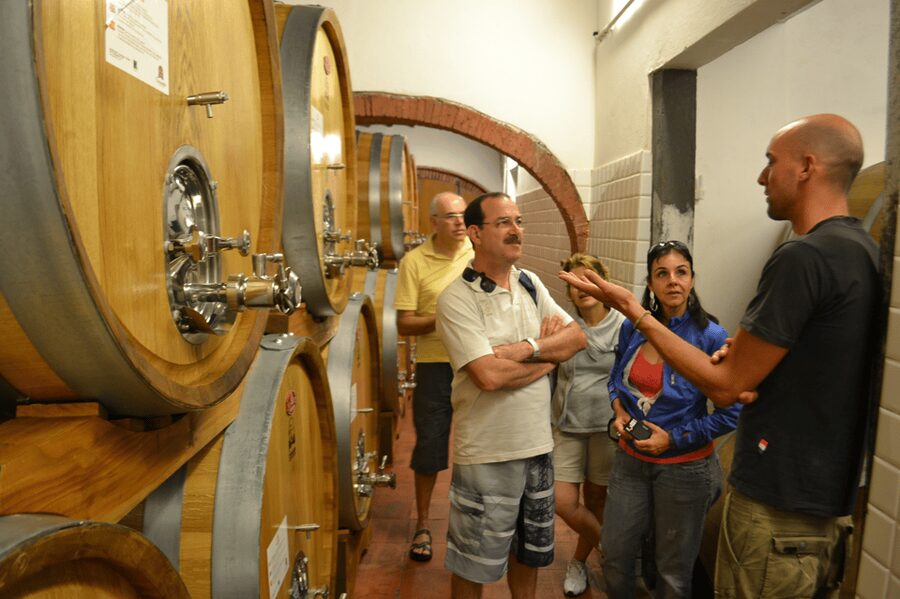 From Florence: Small-Group Chianti Wine Tour 2024 - Lunch at the second winery: where the day slows down