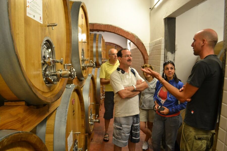 From Florence: Small-Group Chianti Wine Tour 2024 - Stop 3: a highly regarded estate and more tastings that finish strong