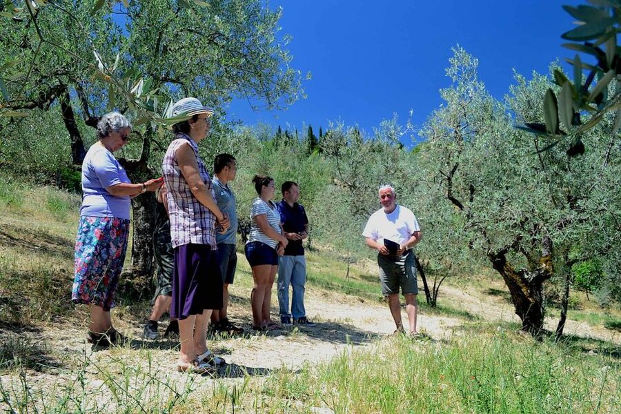 From Florence: Small-Group Chianti Wine Tour 2024 - Getting back to Florence: the countryside-to-city shift