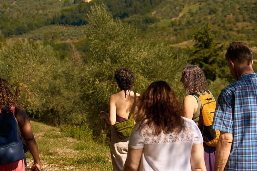 From Florence: Small Group Chianti Wine Tour with Lunch - Leaving Florence with a Comfortable Ride and Real Vineyard Timing