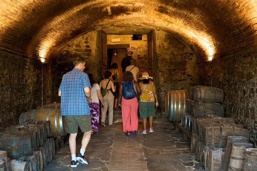 From Florence: Small Group Chianti Wine Tour with Lunch - Winery Stop 1: Modern Cellars Built to Fit the Vineyards