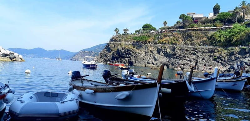From Florence: Small-group to Cinque Terre and Pisa Day Tour - Price and what you’re actually paying for ($163 value check)