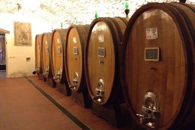 From Florence: Small-Group Tuscany Wine & Oil Tour with typical Tuscan Meal - Getting Out of Florence: Mercedes Minivan Comfort and a Real Timeline