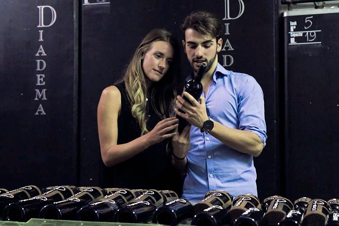 From Florence: Small-Group Tuscany Wine & Oil Tour with typical Tuscan Meal - How Much Wine Is Actually Included, and How to Handle It