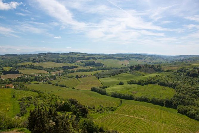 From Florence: Small-Group Tuscany Wine & Oil Tour with typical Tuscan Meal - Price and Value: What You’re Paying For in Plain Terms