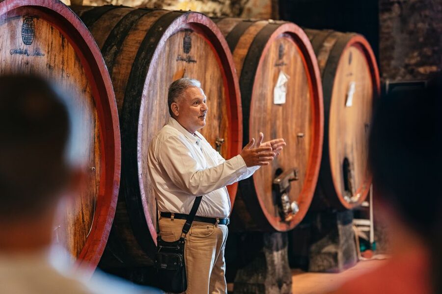 From Florence: Small Group Wine Tasting Tour to Tuscany - Should you book this Florence to Tuscany wine tour