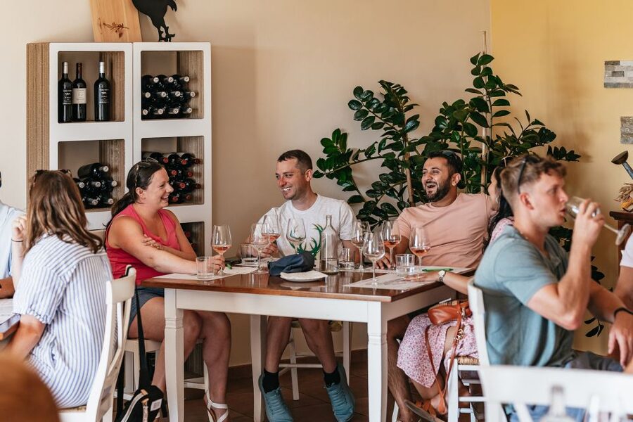 From Florence: Small Group Wine Tasting Tour to Tuscany - The “6 wines and olive oils” plan: why it’s more useful than one big pour