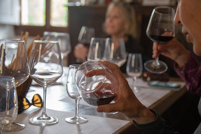 From Florence to Chianti Rufina: Wine Tasting Experience - Key things to know before you go