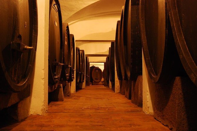 From Florence to Chianti Rufina: Wine Tasting Experience - Price and value: what $35.07 buys you in real terms
