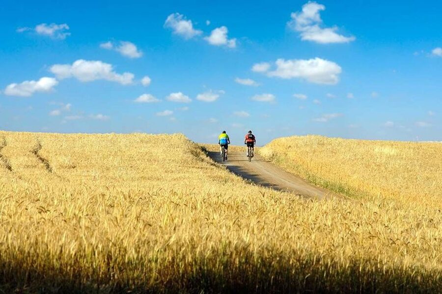 From Florence: Tuscany by E-Bike with Lunch and Wine Tasting - The guided riding segments: hills, vineyards, and panoramic photo stops