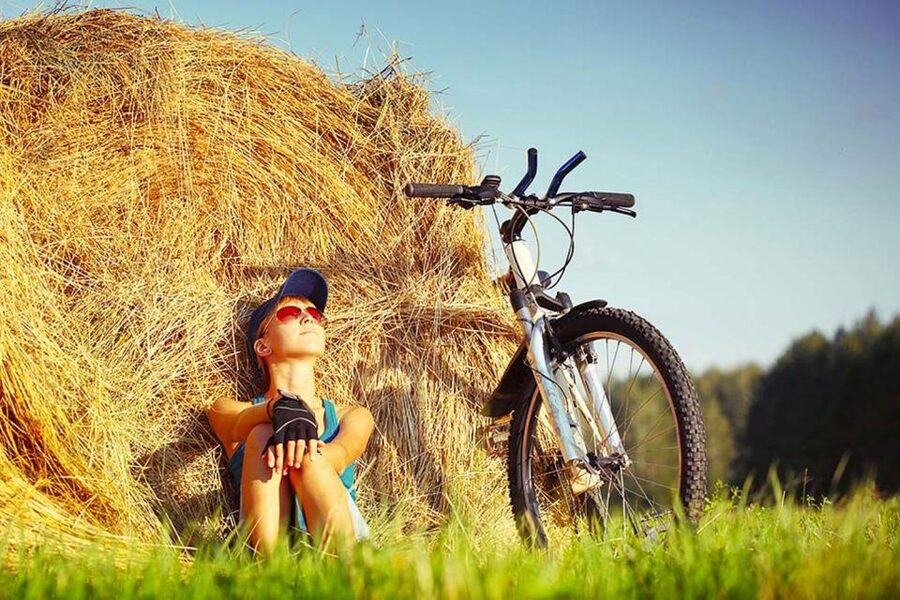 From Florence: Tuscany by E-Bike with Lunch and Wine Tasting - The winery stop: light lunch, wine tasting, and local snacks