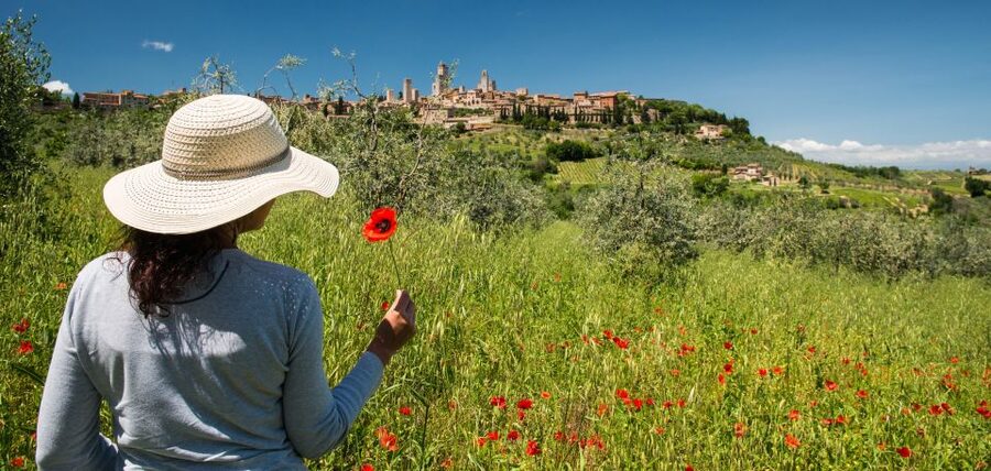 From Florence: Tuscany Highlights Full-Day Tour - Siena with a local specialist guide: the walk that makes the city click