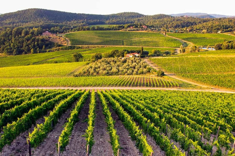 From Florence: Tuscany Wine & Food Tour with Guide - Final stop at a family villa: Italian gardens, views of Florence, and the last pours
