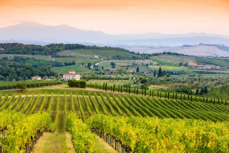 From Florence: Tuscany Wine & Food Tour with Guide - Guides, small-group comfort, and the winding-road reality