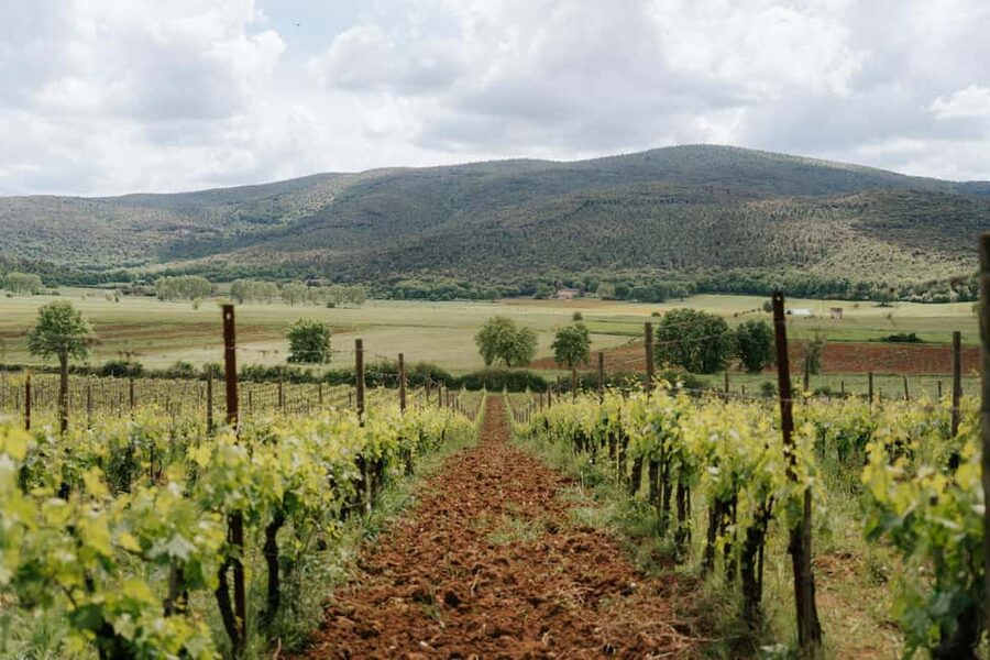 From Florence: Ultimate Tuscany Day Trip with Wine & Lunch - Your Morning in Florence: Meet, Ride, and Catch the Best Views