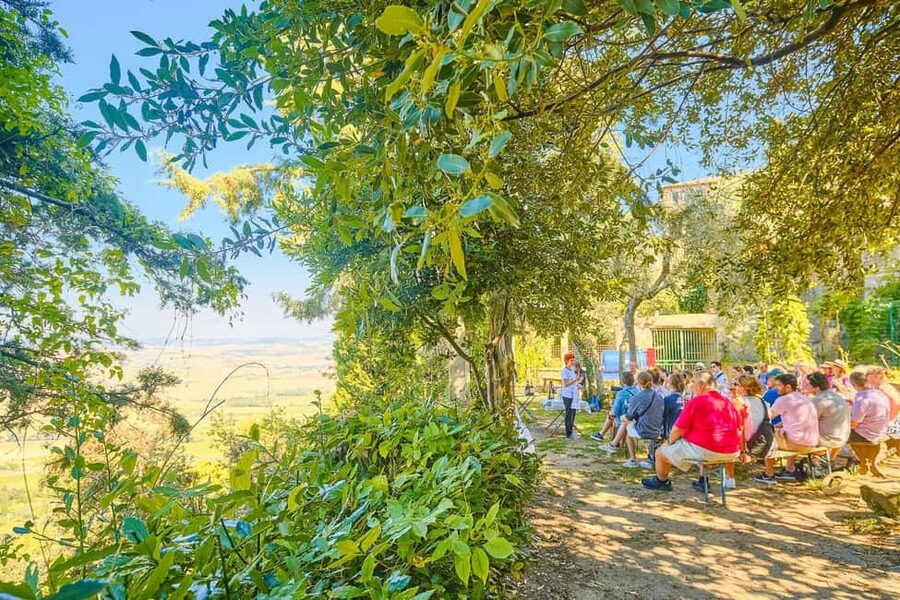 From Florence: Val D'Orcia Tour with Wine Tasting - Wine tastings that are more than a sip-and-go