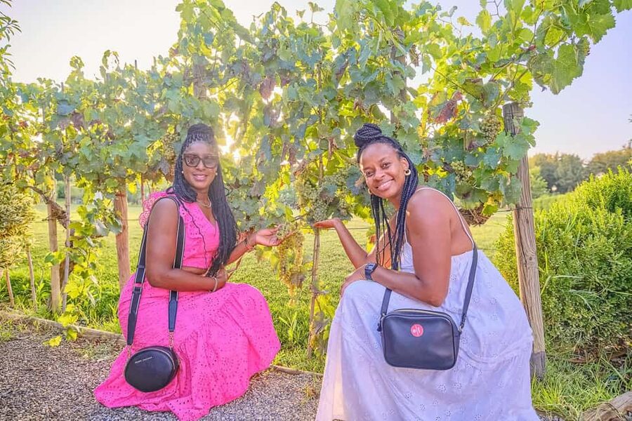 From Florence: Wine Tasting and Dinner in Chianti Vineyards - The Tasting Menu: Wine, Olive Oil, and What to Pay Attention To