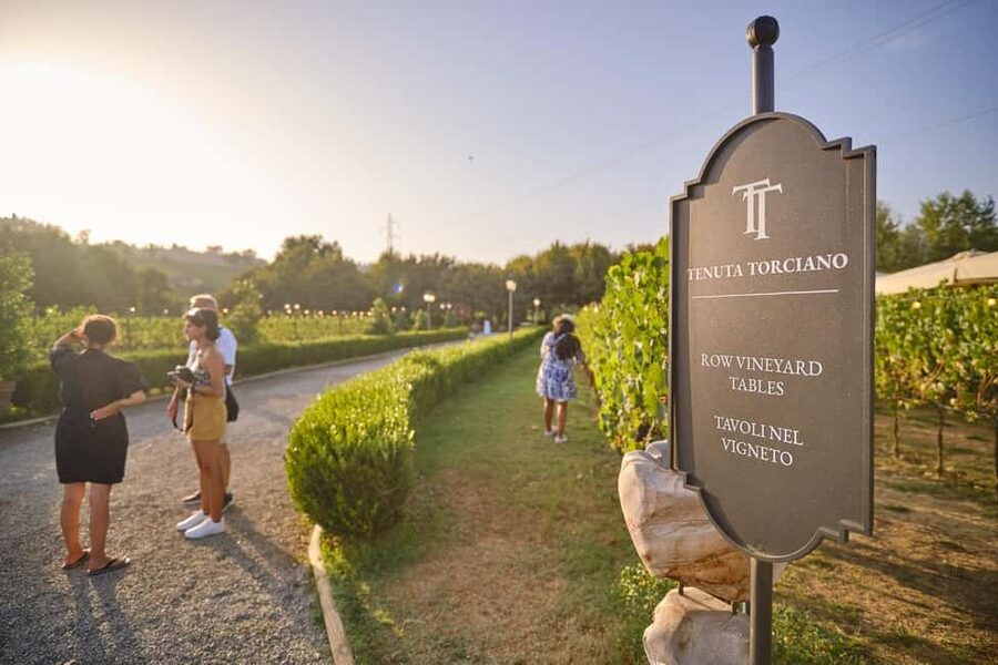 From Florence: Wine Tasting and Dinner in Chianti Vineyards - Leaving Florence: Comfort, Heat, and the Meeting Point