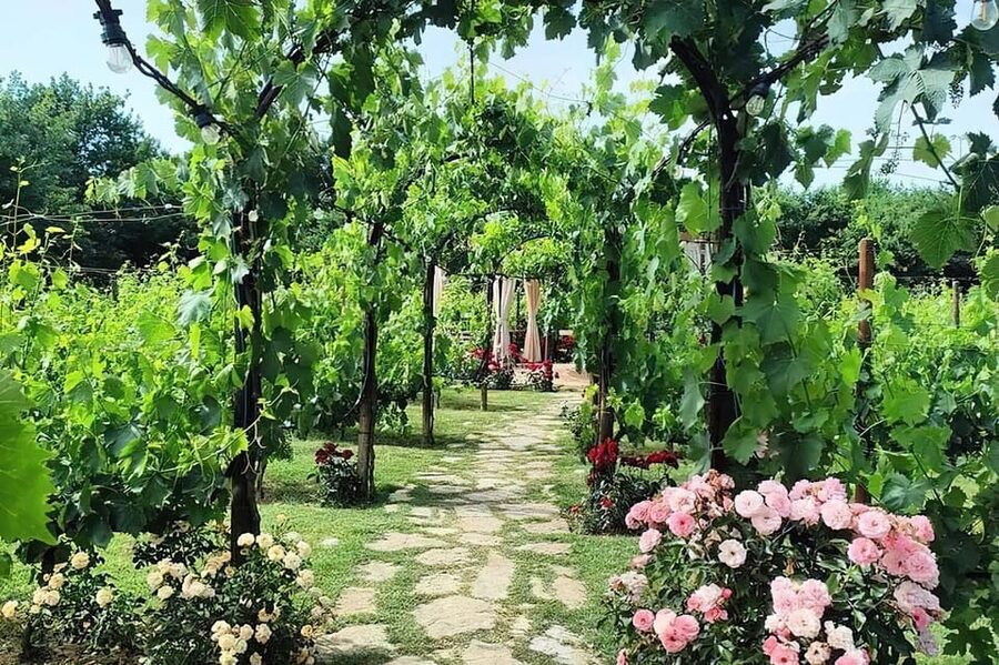 From Livorno: Authentic italian Pasta Cooking Class - From Livorno to San Gimignano: the ride sets the tone