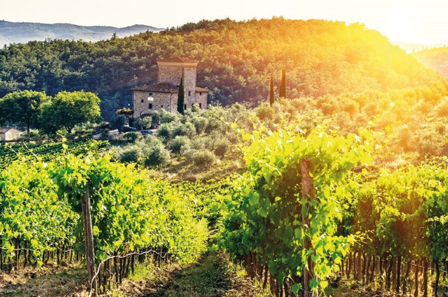 From San Gimignano: Vespa Tour in Chianti - Practical tips so you don’t waste a minute