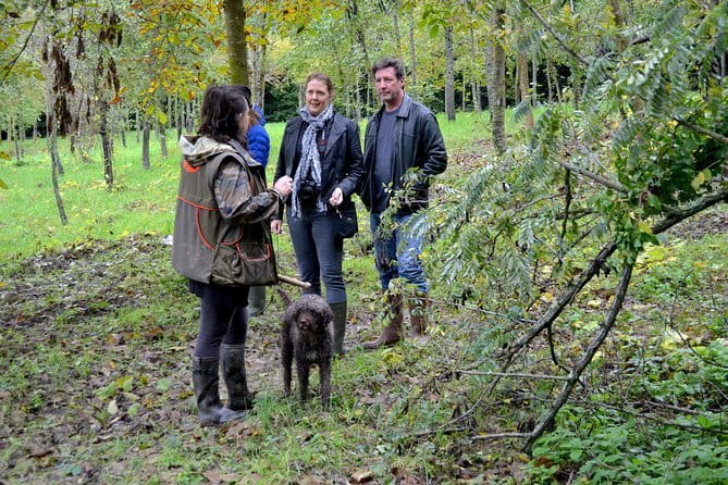 Full-Day Small-Group Truffle Hunting in Tuscany with Lunch - Key highlights you’ll care about