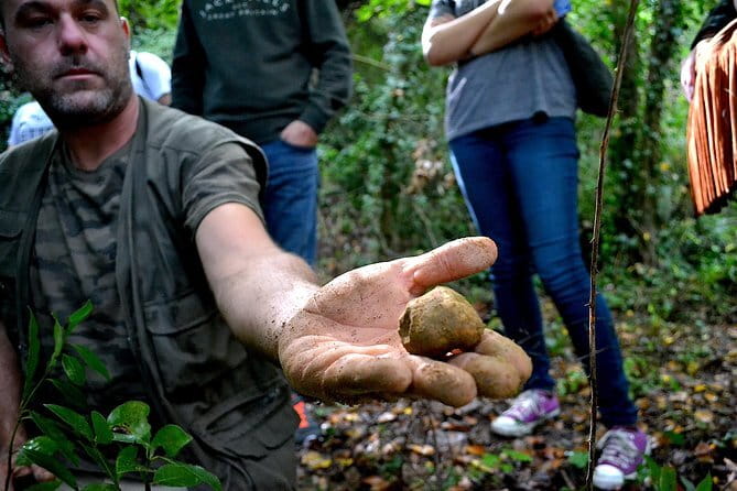 Full-Day Small-Group Truffle Hunting in Tuscany with Lunch - Price and value: what $405.30 buys you