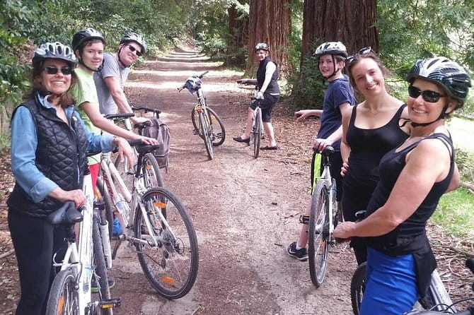 Full-Day Tuscan Countryside Bike Tour - Who This Tour Fits Best (and Who Might Prefer Another)