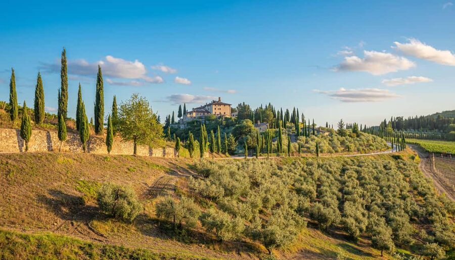 Golf Cart Tour: Express Highlights of Florence - Arcetri: a quieter Florence angle