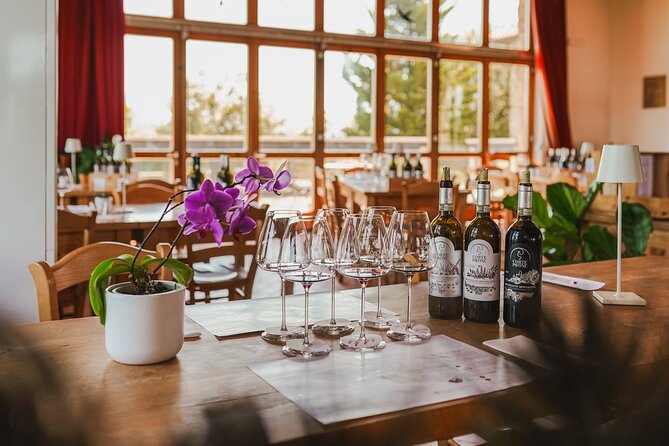 Gourmet Brunello Vertical Tasting - Who This Brunello Vertical Tasting Suits Best