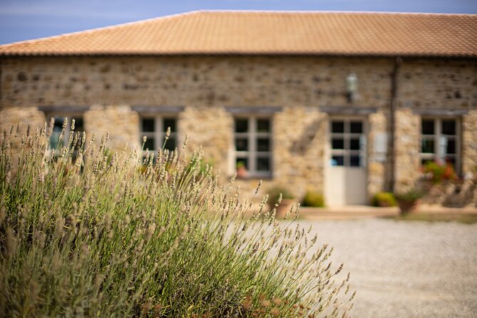Gourmet Wine & Food Tasting - Gourmet Bites That Match the Wine: Organic-Biodynamic Pairing Logic