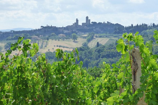 Gourmet Wine Tour San Gimignano Wine Tasting - San Quirico Winery - The food pairing: bruschetta, salami, cheese, and olive oil
