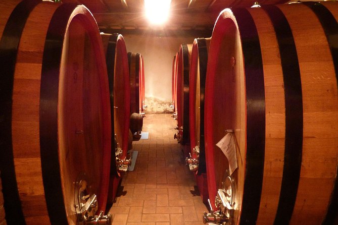 Gourmet Wine Tour San Gimignano Wine Tasting - San Quirico Winery - The 45-minute flow: what happens from arrival to tasting
