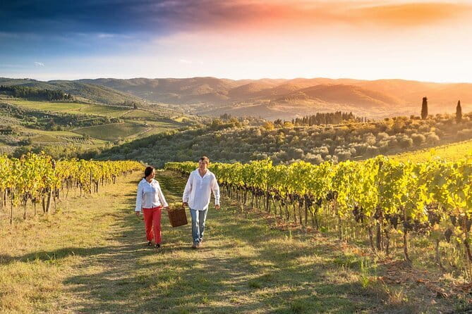 Grape Stomping and Wine Tasting in Tuscany - Grape Stomping in Wooden Barrels: Do It Like You Mean It
