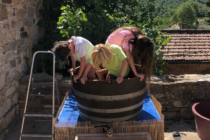 Grape Stomping Experience and Wine Tasting - Harvest Season Options: Picking Grapes vs Prepared Stomping