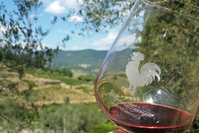 Greve in Chianti Wine Tasting and Winery Tour - Key things you’ll notice