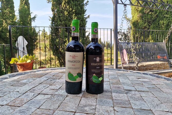 Greve in Chianti Wine Tasting and Winery Tour - Stepping into a working Chianti Classico farm in Greve