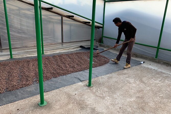 Guided tour of the Artisan Chocolate Factory in Tuscany - Price: is $100 worth it?