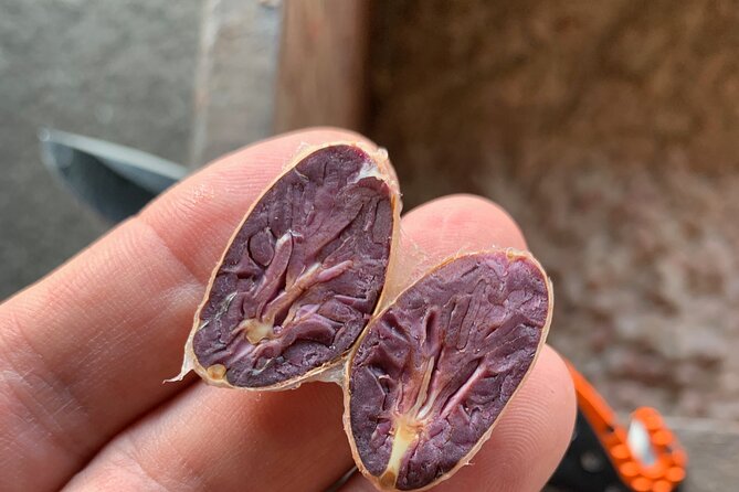 Guided tour of the Artisan Chocolate Factory in Tuscany - Nicaraguan cocoa makes the flavors feel specific