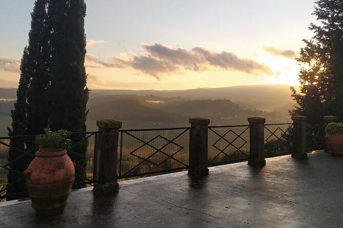 Guided tour with wine tasting and local organic products - Inside Fattoria Majnoni Guicciardini: Terrace and Vineyard Walk