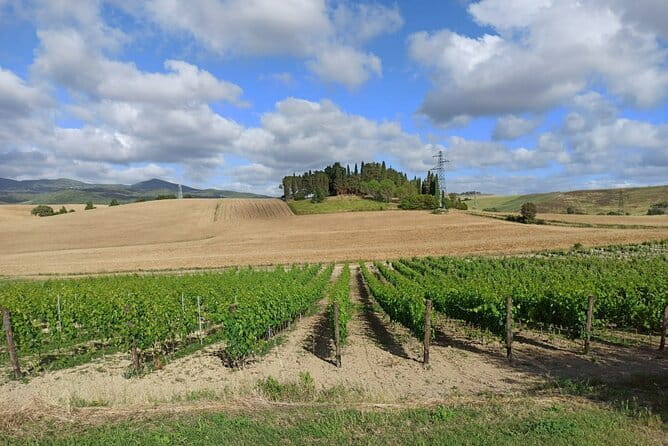 HALF-DAY: Chianti Classic Tour with Wine Experience & visit of San Gimignano - Cantine Guidi in Chianti Classico: What You’re Really Tasting