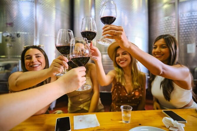 Half day Chianti Vineyard Escape from Florence with Wine Tastings - Winery Stop 2: Two Estates, Two Personalities