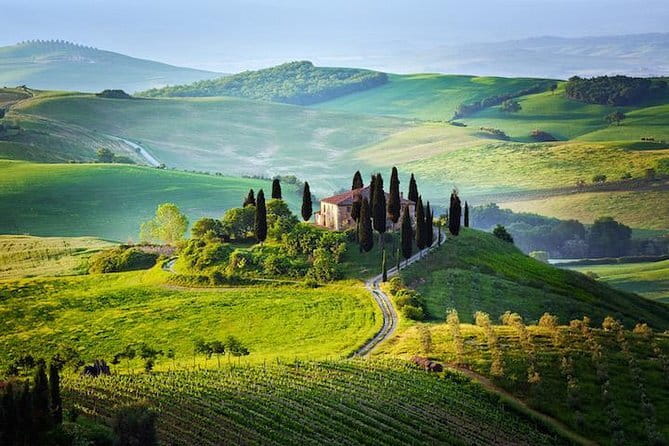 Half Day Chianti Wine Tour with Private Luxury Van - Private Florence Pickup to Chianti Roads Without the Stress