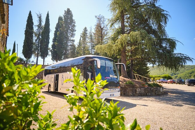 Half-day Experience to San Gimignano Hills with Picnic and Wine - The Chianti drive: scenic time you can actually use