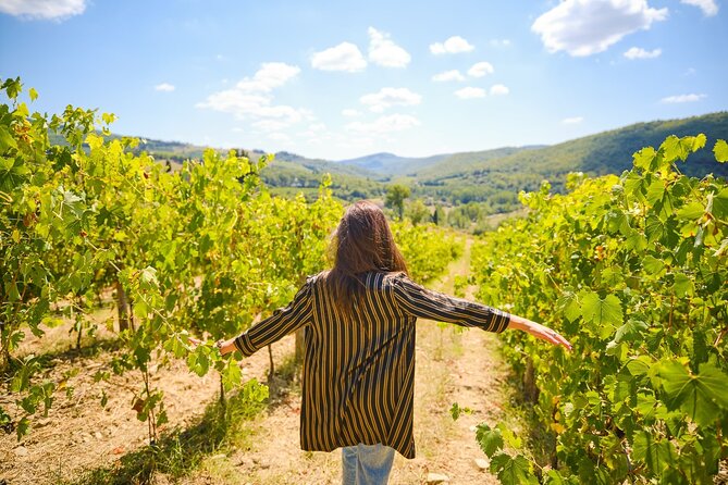 Half-day Experience to San Gimignano Hills with Picnic and Wine - Who this tour suits best (and who should pick something else)