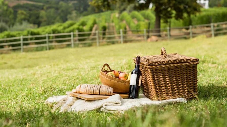 Half-day Hills Experience to San Gimignano with Pic Nic Wine - What to Pack and Expect: Comfort Wins on This Day