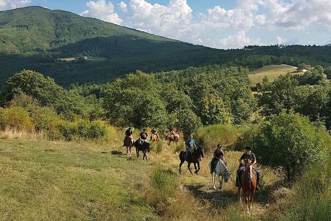 Half-Day Horseback Ride in Tuscany - Montieri’s Prategiano Stables: Where your Tuscan ride actually starts